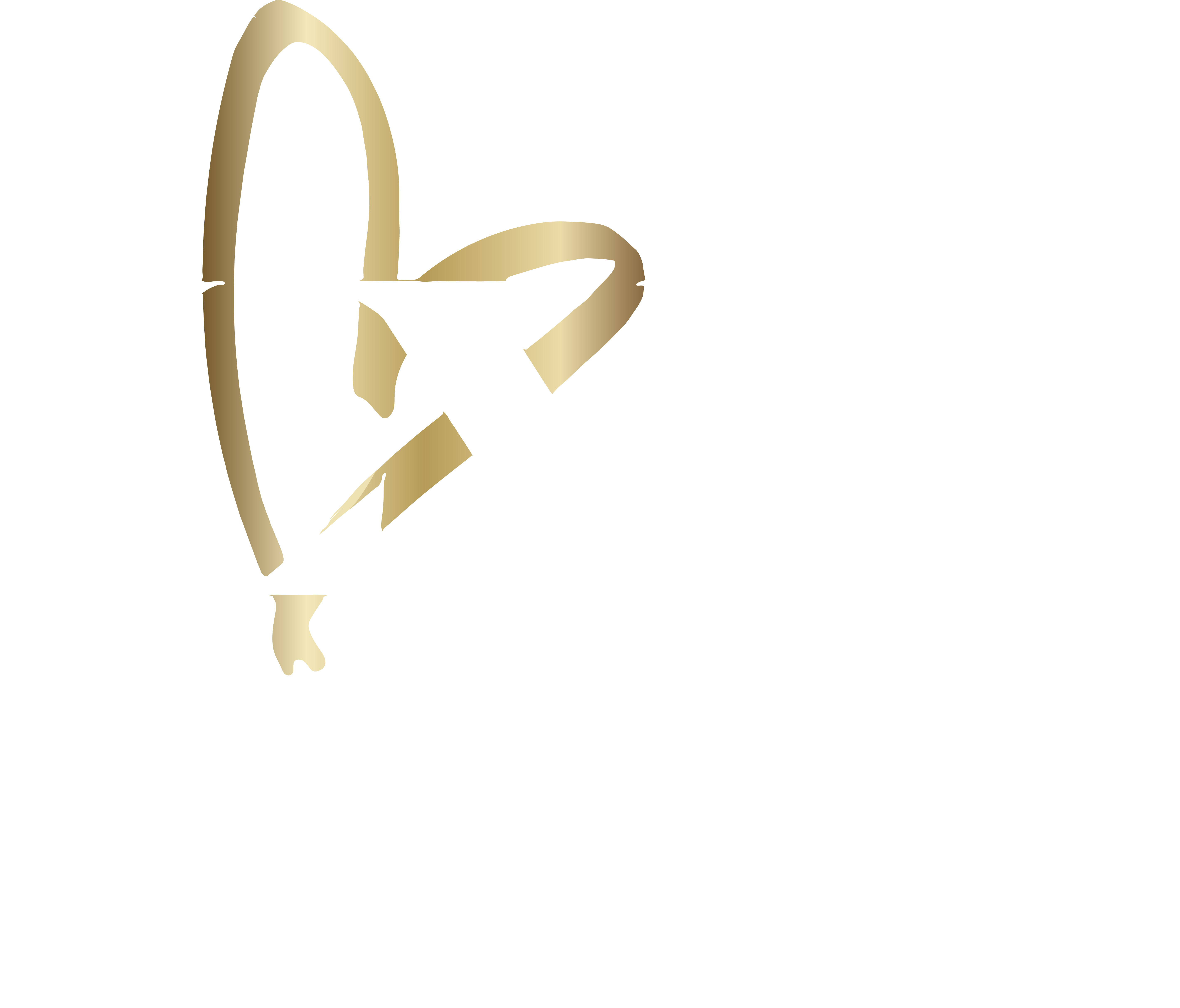 logo lve